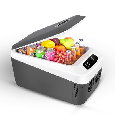 China Custom Logo Thermoelectric Works Camping Cooler Box Camping Mini Refrigerator For Trip Picnic for sale