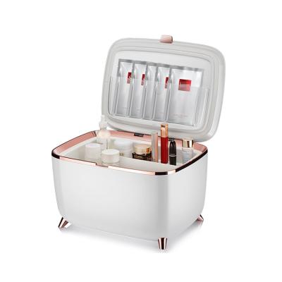 China Hotsale THERMOELECTRIC Skin Care Fridge Cosmetic Fridge For Cosmetic 10 Liter Mini Makeup Fridge Room Fridge for sale