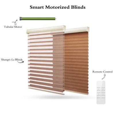 China CREATIVE Gardens Automatic Tubular Motorized Blinds Motor Blind Electric Window Blackout Roller for sale