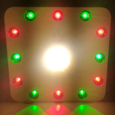 China Seed Starting Kinreen COB Led For Growing Full Spectrum CXB3590 LED Light Plant Grow Light 200W for sale