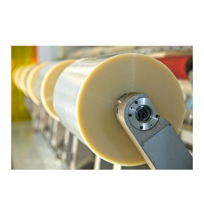 China Pla Plastic Moisture Proof Sheet Roll Premium Quality Hot Selling Biodegradable Full Mute Film Printing for sale