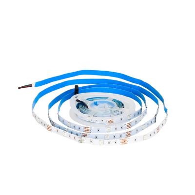 China Latest 2021 LANDSCAPE RGB 5050 5v ip65 led strip light with remote control for sale