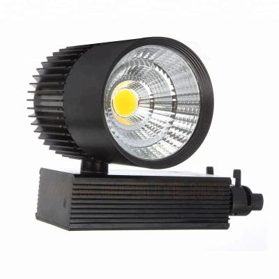 China CE IN-TL106 RoHS COB Box Driver 10W 15W 20W 30W LED Residential Pathway Side Light Rotating Spotlight Lamp Mount Lighting for sale