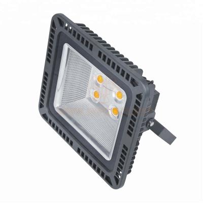 China IN-FL105 Street Reflector COB IP65 20W 30W 50W 70W 100W 150W 200W Waterproof LED Flood Light Lamp Fixture for sale