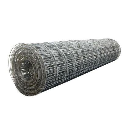 China Plain Weave 10 Gauge Galvanized Steel Fence 50 Ft Welded 6x6 Wire Mesh Fencing Wire Cloth Mesh for sale