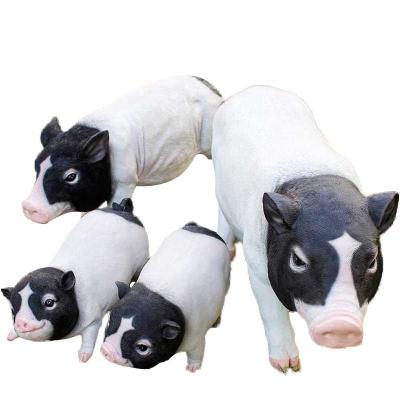 China Other Funny Pig Resin Sculpture Garden Decoration Statue Fiberglass Small Pig Statue Life Size Handmade Cute Pig Figurines for sale