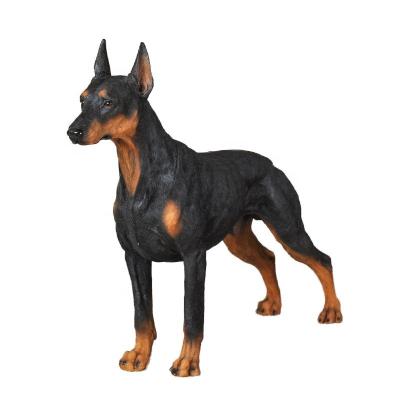 China Other Custom Resin Life As Polyresin Animal Garden Decoration Doberman Pinscher Pinscher Statues Decorative Large Resin Dog Statue for sale