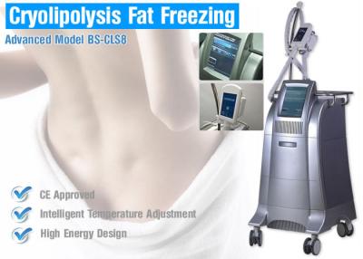 China Cryolipolysis slimming equipment ODM&OEM cryolipolysis slimming fat freezing device cryo sculpture machine for sale