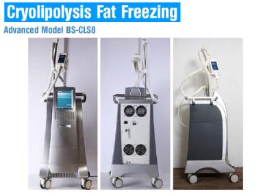 China Cryolipolysis slimming equipment fat reduction cryolipolysis freeze slimming machine for sale