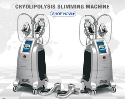 China Cryolipolysis slimming equipment Europe popular 4 handpieces cryomed cryolipolysis rf slimming machine for sale