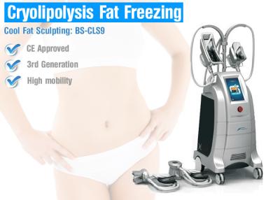 China Cryolipolysis slimming equipment cryolipolysis fat freeze slimming machine for sale