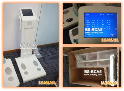 China Dual Frequencies Body Composition Analyzer With Built - In Thermal Printer for sale