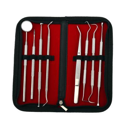 China Tooth Stainless Steel Dental Hygiene Tools Dental Kit 8in1 Design Calculus Plaque Remover Tooth Remover for sale