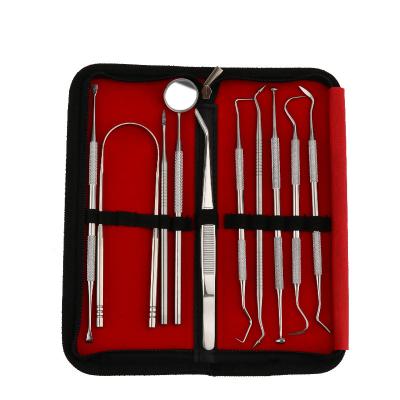 China 10pc Durable Professional Dental Scraper Tool Tart Double Ended Tartar Remover For Teeth Plaque Remover Tooth Scraper Extra Tooth for sale