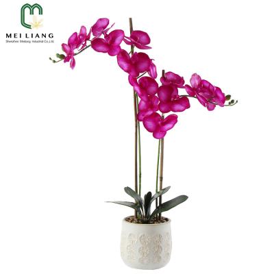 China Colorful plastic plant orchid decoration garden flower wedding minimalist wholesale artificial simulation real touch for sale