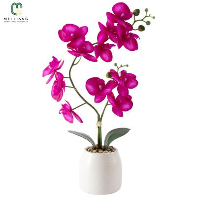 China New Minimalists Arrive High Quality Natural Neally Orchid Phalaenopsis Flower In White Ceramic Vase Artificial Orchids Floral for sale