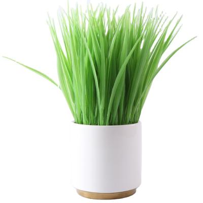 China House Office Decoration Mini Potted Plants Artificial Plant Minimalist Grass for sale