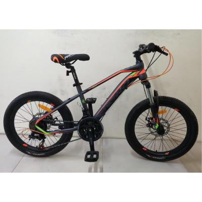 China OEM Steel Easy Riding 20inch Aluminum Alloy Kid Bike Mountain Bike for sale