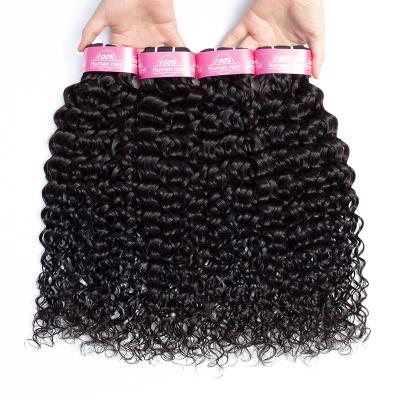 China Brazilian Hair Bundle Water Wave Hair 3 Bundles With Closure Remy Human Hair Weave Bundles With Closure Natural Color Hair Extensions for sale