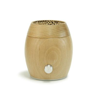 China 2021 Innovative Hotel Products Portable Electric Fan Aroma Diffuser for sale