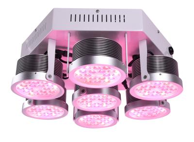 China Al aire libre de alta calidad llevada crecen el espectro completo ligero 250W LED crecen ligeros para las plantas médicas Vegetabl verde en venta