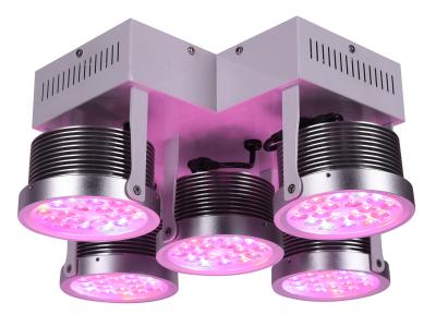 China 3yrsHigh Spectrum250W lleno eficiente LED crecen ligeros para las plantas médicas Vegwtable y florecen planta interior 3 años de garantía en venta