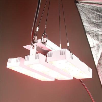 China Black WH 100W 90degree adjustable plant lightt LED Grow Light for Medical Plants led Plant hanging plant light, for sale