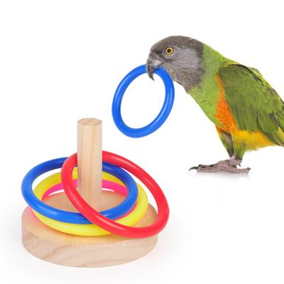 China Sustainable Parrot Puzzle Training Circle Toys are strong and durable pet training toys and products for sale