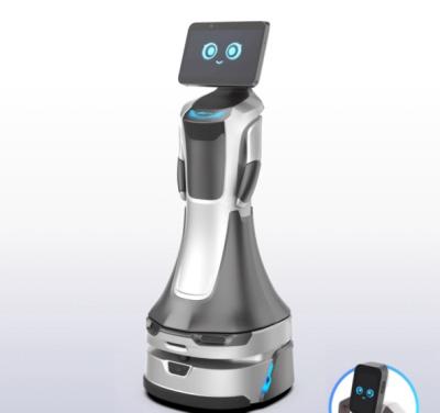 China Intelligent Reception Service Robot for sale