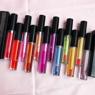 China Beauty Secret 12 Colors Lip Plumper Waterproof OEM Cosmetic Lip Plumper Gloss for sale