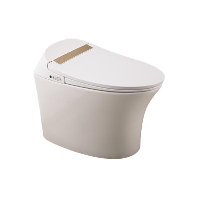 China Western Self Operation Automatic Operation Wash Down Around Smart Toilet for sale