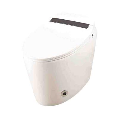 China Automatic Operation Automatic Bidet Toilet Set Luxury Automatic Flow Around Smart Toilet for sale