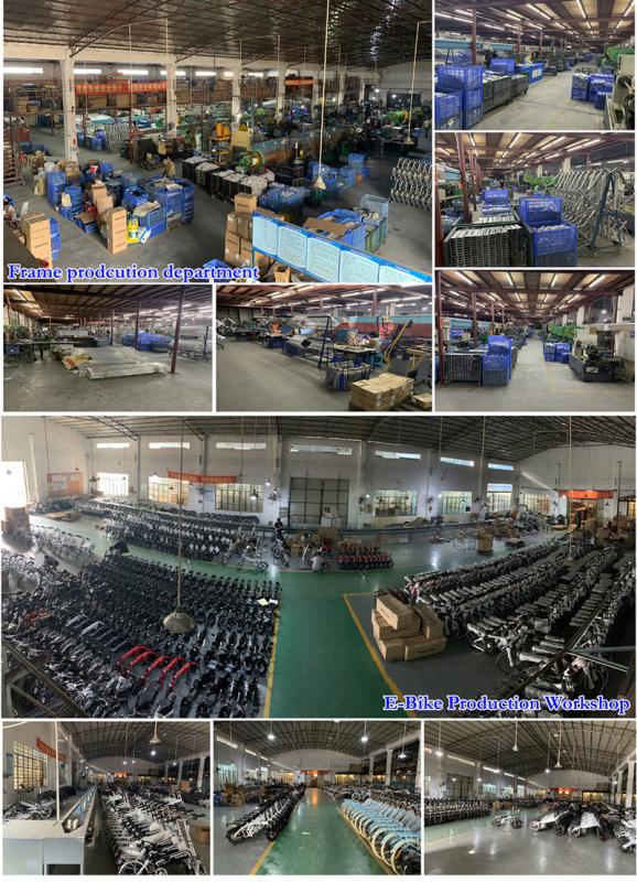 Verified China supplier - Guangzhou Paselec Bicycle Co., Ltd.