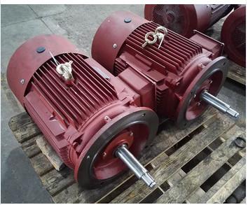 China Three phase high efficiency IP55/IP56 smoke extraction motor for sale