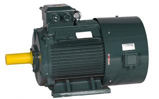 China YE3 AC Induction motor , Three Phase Motor with Fully-enclosed and Fan Cooled Squirrel Cage for sale