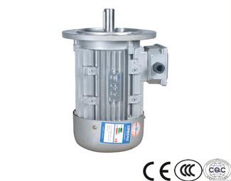 China YE2-132M1-6 4kw 5.5HP 6 pole IE2 cast iron three phase ac asynchronous electric motor for sale