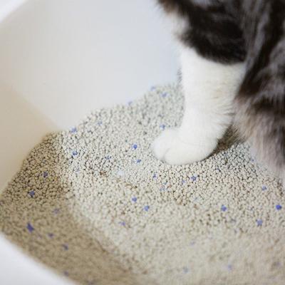 China Cats Bulk Cat Litter Wholesale Pet Shop Products Convenient Scooping Absorb More Liquid Sand Bentonite Cat Litter for sale