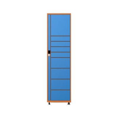 China Public High Quality Blue Tooth Locker for sale