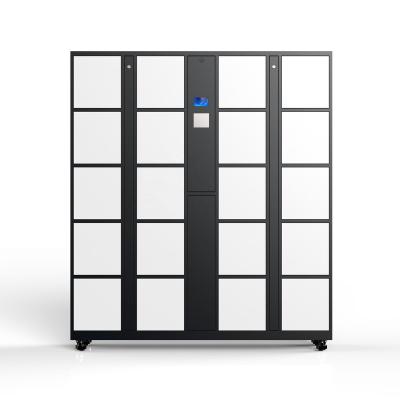 China Public smart rental locker for sale