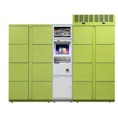 China Fresh food delivery public locker for sale