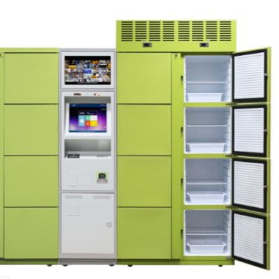 China Public Smart Refrigerated Delivery Locker for sale