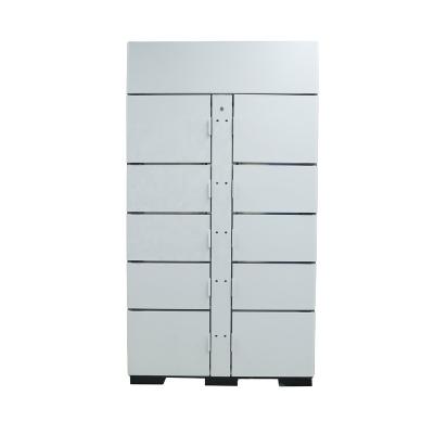 China Supermarket Public Use Frozen Delivery Locker for sale