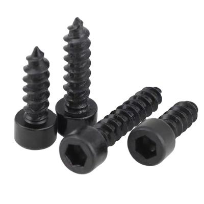 China food & Beverage Tapping Screws M3-14mm (50pcs) for sale