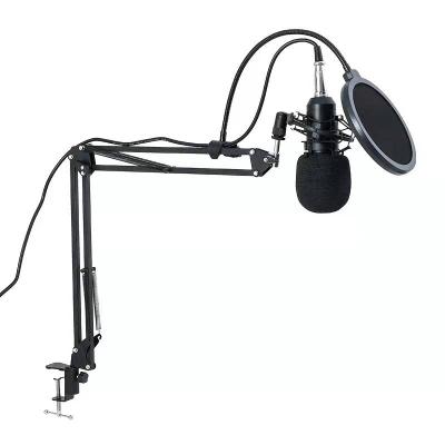 China Desktop Cantilever Live Microphone Set Multifunctional Microphone Set for Studio for sale