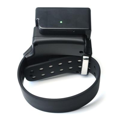 China 3G 3g 4G Portable Prison GPS Tracker Wristband GPS Tracker Gps Tracker Charging Tag for sale