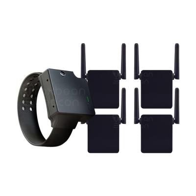 China 3G GPS Smart Location Indoor Beacon Watch Bands Offender GPS Ankle Tracker for sale