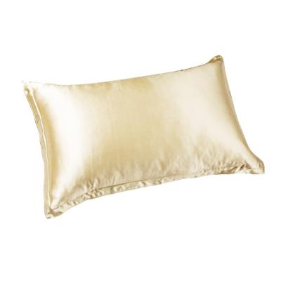 China Mulberry 16mm 19mm 22mm Disposable 100% Pure Silk Pillowcase 25mm With Standard Queen Size for sale