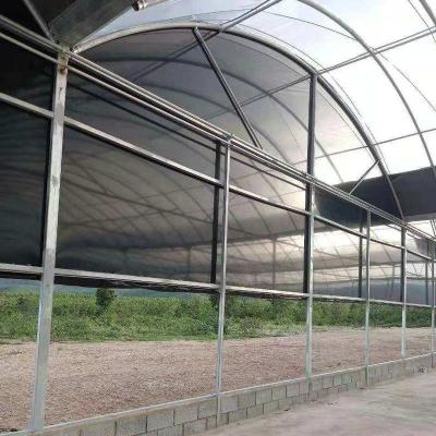 China Stable Structure Easily Assembled wholesale cheap price agricultural low cost blackout greenhouse tunnel type for sale