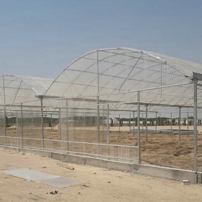 China Anti-windy Industrial poly carbonate greenhouse for middle east countries for sale