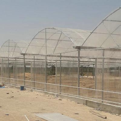 China Anti-windy Poly carbonate greenhouse for middle east countries galvanized steel structure for sale